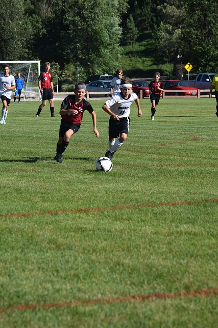 排行中位居 排行中位居