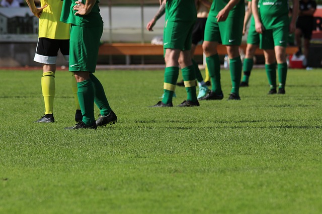 讓新星在這 讓新星在這