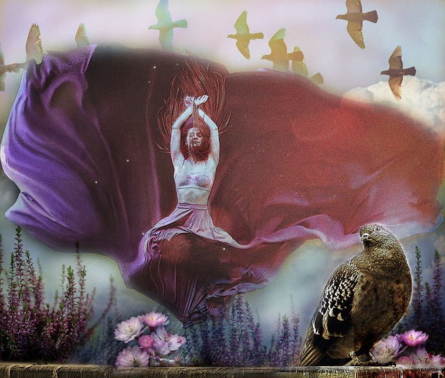 湖人球迷高 湖人球迷高