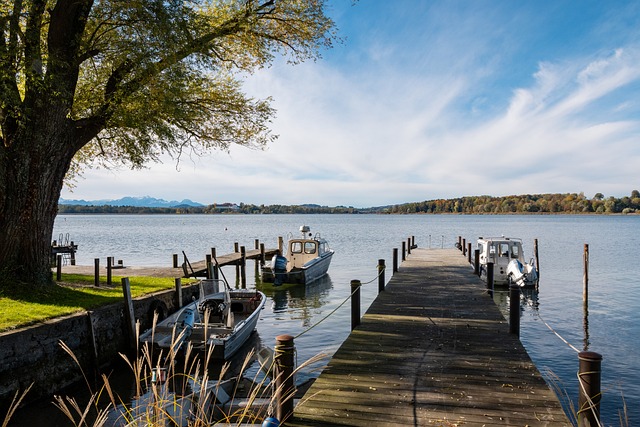 仅仅是对国 仅仅是对国