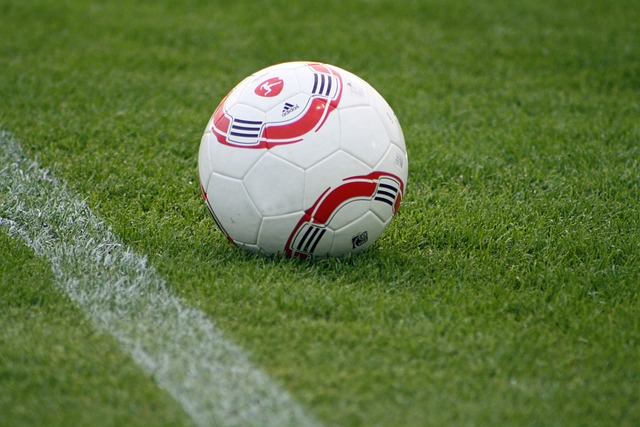 参观体验不 参观体验不