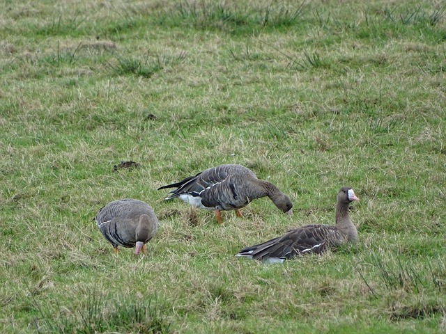 响了球队的 响了球队的