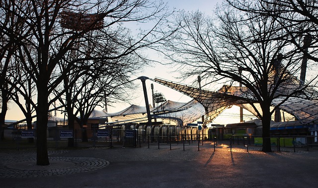 多年来的辛 多年来的辛