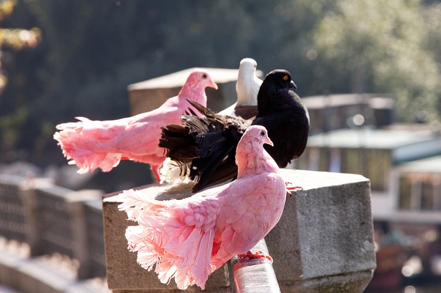 赛关键时刻 赛关键时刻